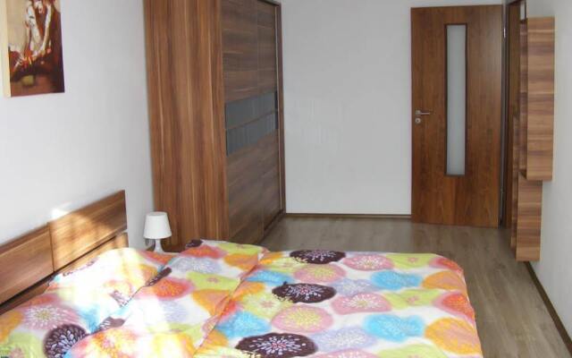 Apartment Toma Garii