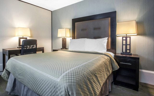 Quality Inn Center City