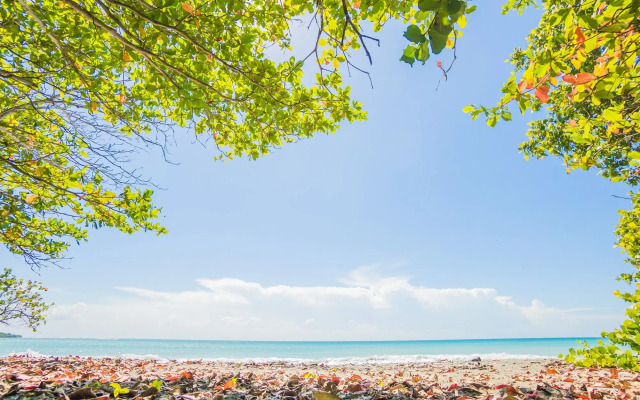 Coconut Paradise Beach Hotel