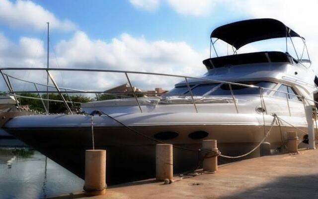 Yacht Searay 40'