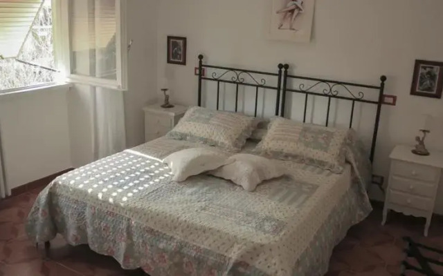 Domus Roma Vacanze - Qui staremo bene