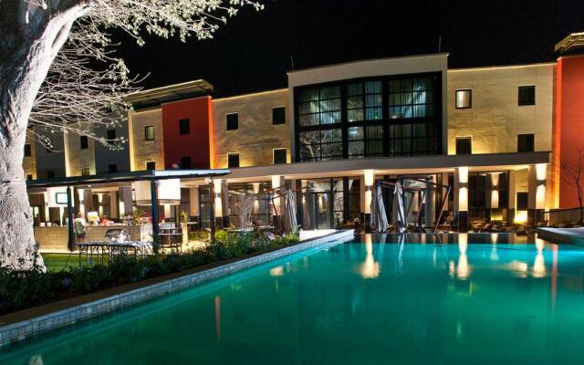 The VIP Executive Baobab