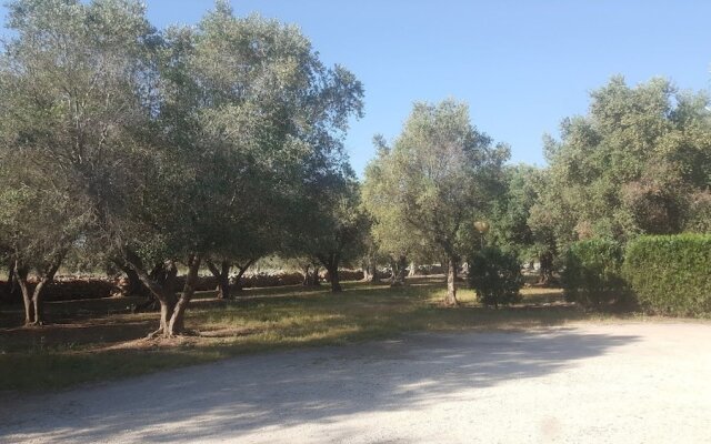 Agriturismo Salento Pietralata