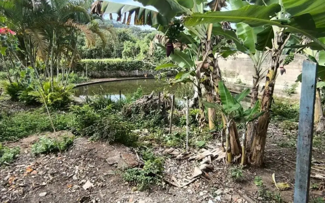 Chácara Santa Rita