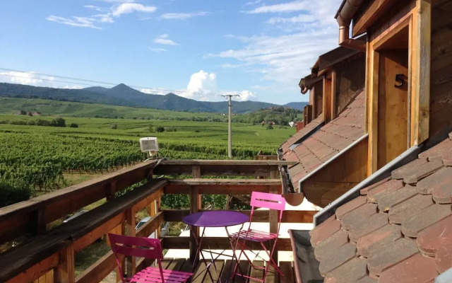 Gîtes Au Domaine Greiner