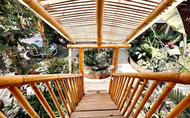Serenity Eco Guesthouse and Yoga