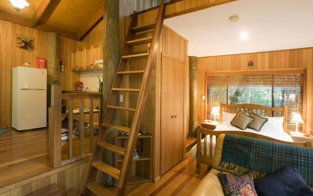 Springbrook Lyrebird Retreat