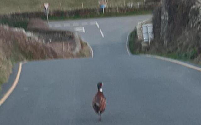 The Little Boathouse Heated