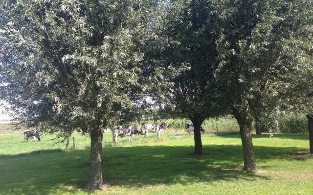 Express By Holiday Inn Moerdij