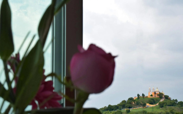 Hotel Terraza San Pedrito