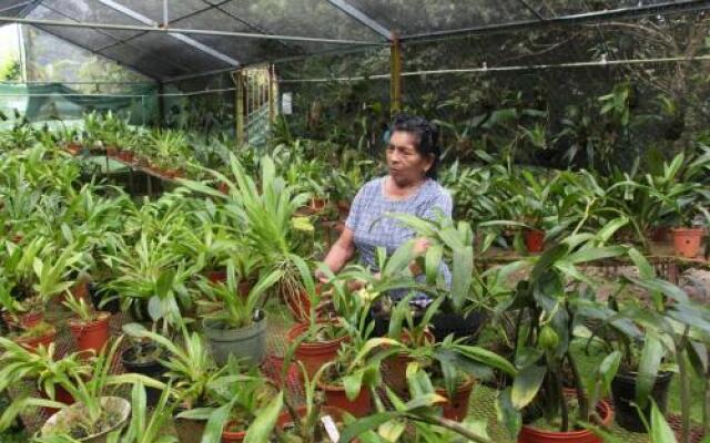 Hostal Orquidea