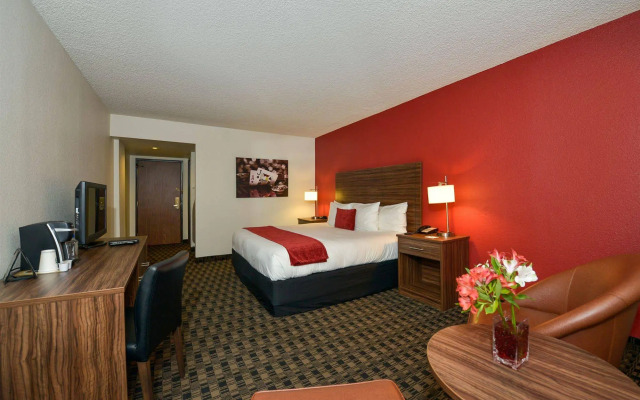 the D Casino Hotel Las Vegas