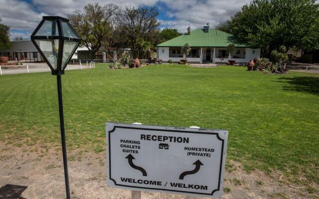 Olive Grove Guest Farm