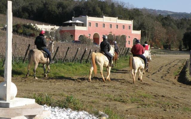 Tenuta il Sassone - Wine&Food