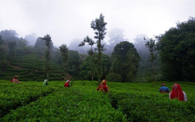 Meenmutty Heights