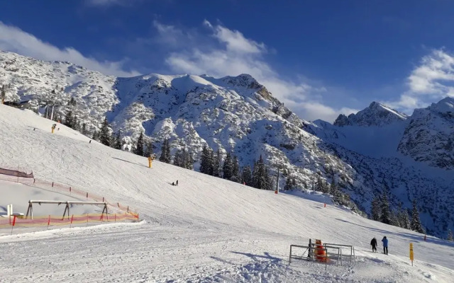 Birkenwald Seefeld in Tirol