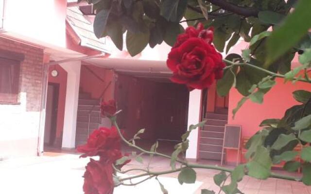 Apartments & Accommodation Stojic