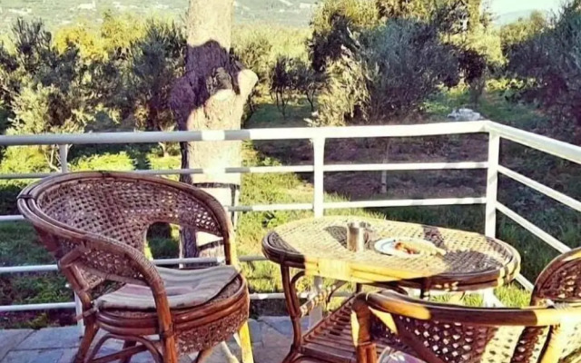 Irini Studios