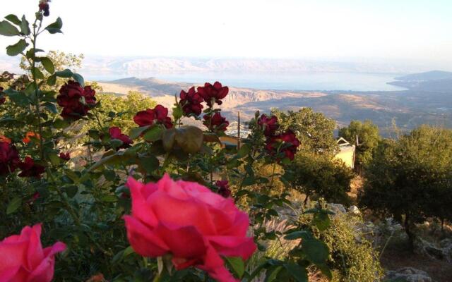 Rose Garden - Gan Vradim