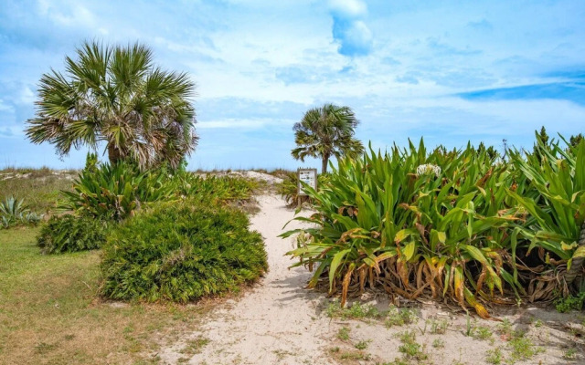 Another Endless Summer on B Street