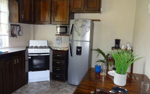 Beautiful 1-bed Apartment in Saint George's