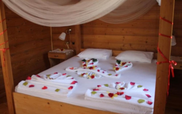 Sakin Vadi Winehouse