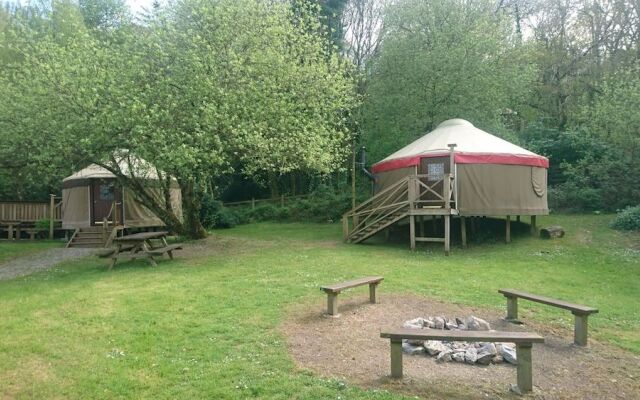 Yurtcamp Devon
