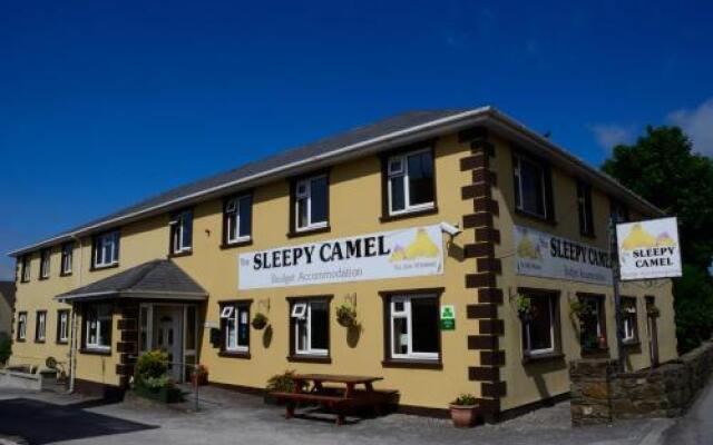 The Sleepy Camel Hostel