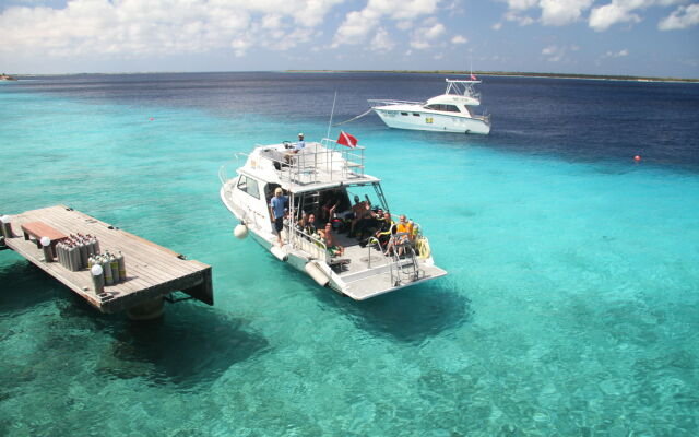 Buddy Dive Resort