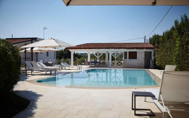 B B D Aprile Camera Camelia