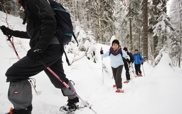 Almhotel Pinter Superior