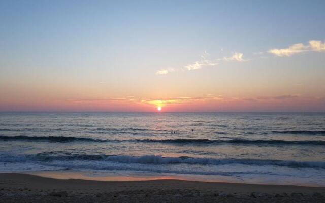 Domaine A Mortella T2