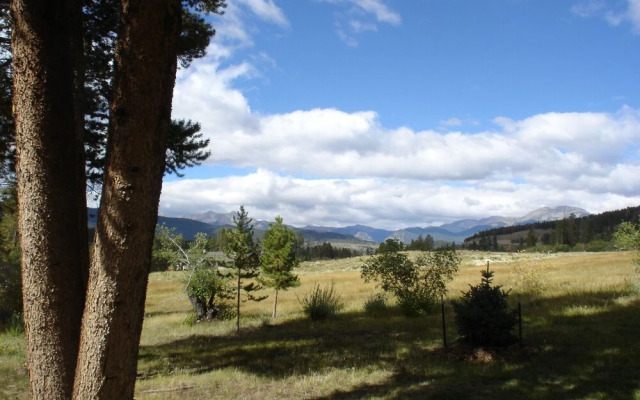 Pines 2133