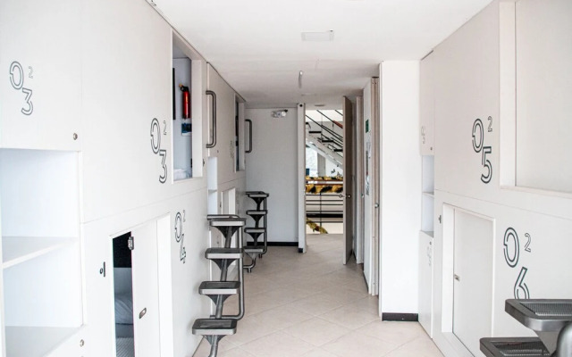 Hotel Capzule Inn
