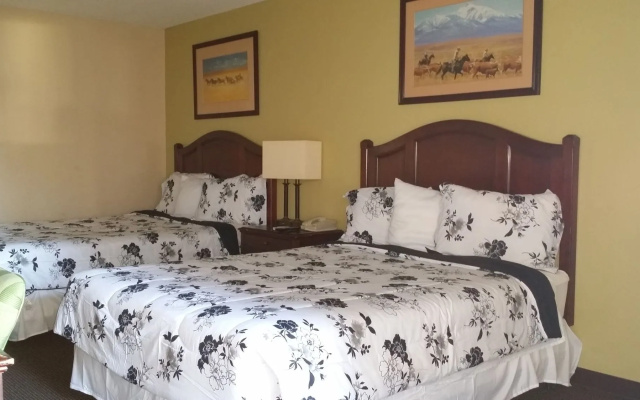 R Nite Star Hotel