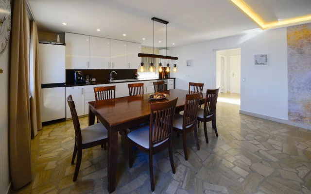 Laurus Tuli Evica in Tuli Evica