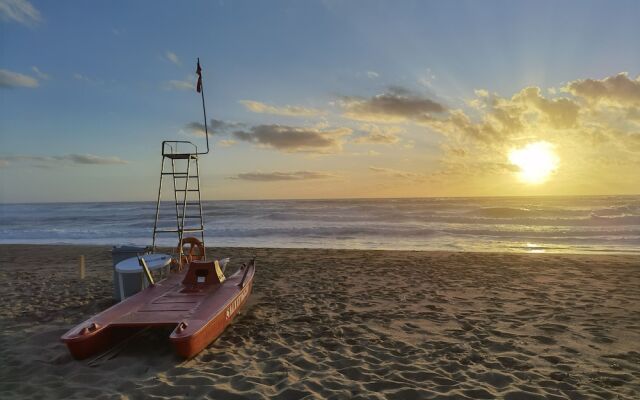 la corte degli ulivi