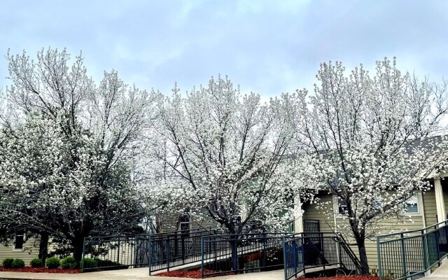 Stonebridge Village Resort