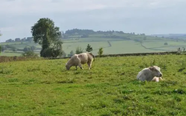 Escale en Charolais Brionnais