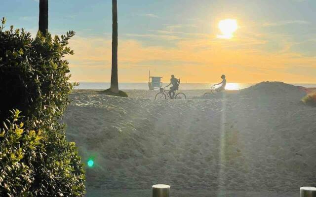 Modern 1Bd Famous  Venice 10B