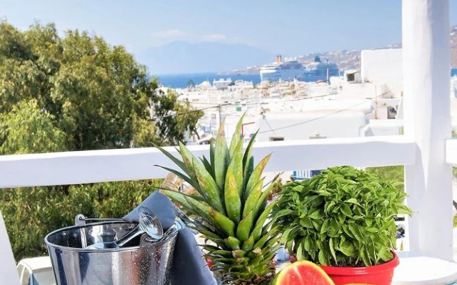 Melesios Mykonos Town Studios