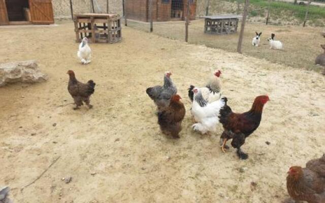 Agriturismo Colleoli