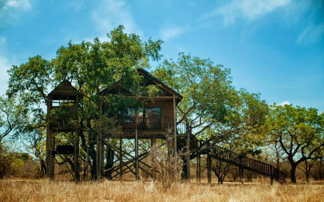 Pezulu Tree House Lodge