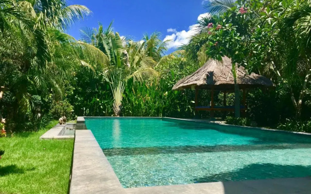 Pazzo Bali