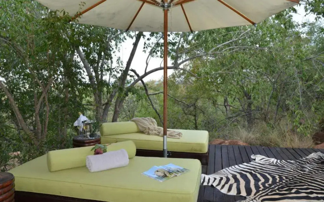 Wild & Free Game Lodge