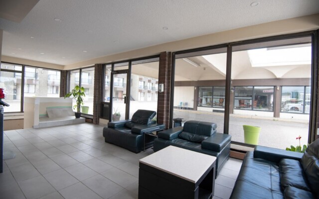 Connaught Motor Inn