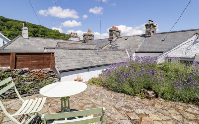 7 Ivy Terrace