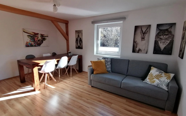 Cosy Apartment in Dienten with mountain view