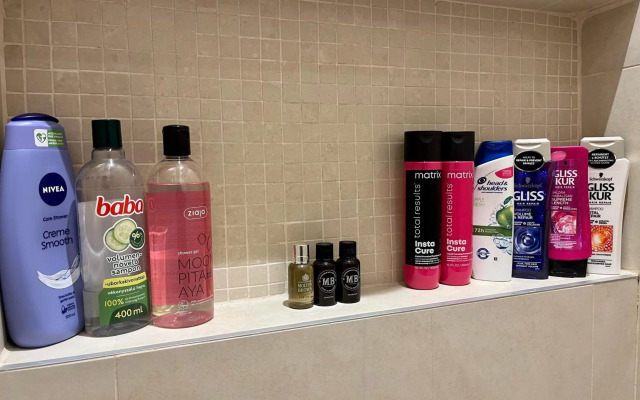 Budapest Downtown in Style