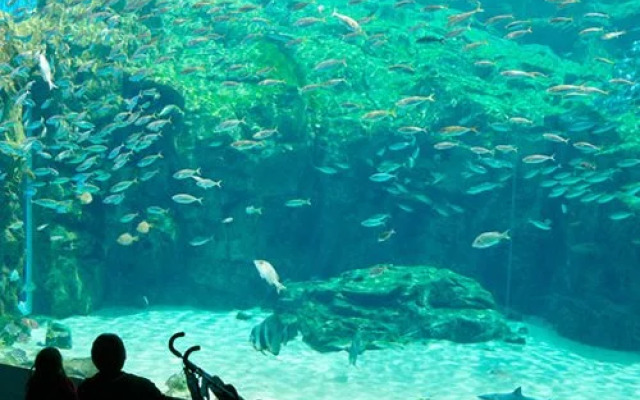 Kujyukushima Seaside Terrace Hotel & Spa Hanamizuki